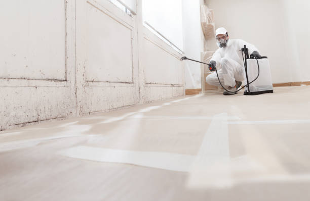 24/7 Emergency Mold Remediation experts in West Roxbury, MA